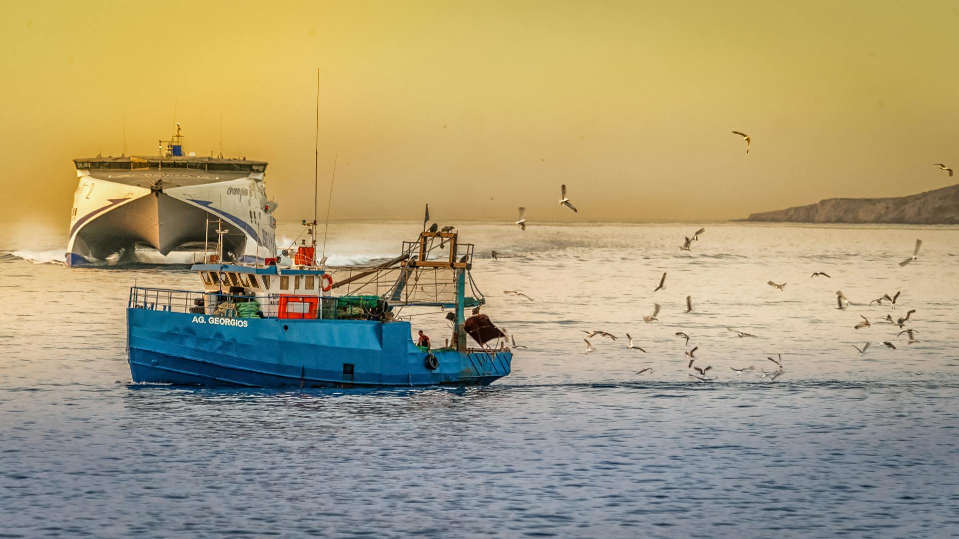 stock-fishing-1